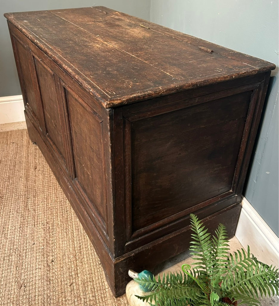 19th Century Antique Oak Coffer