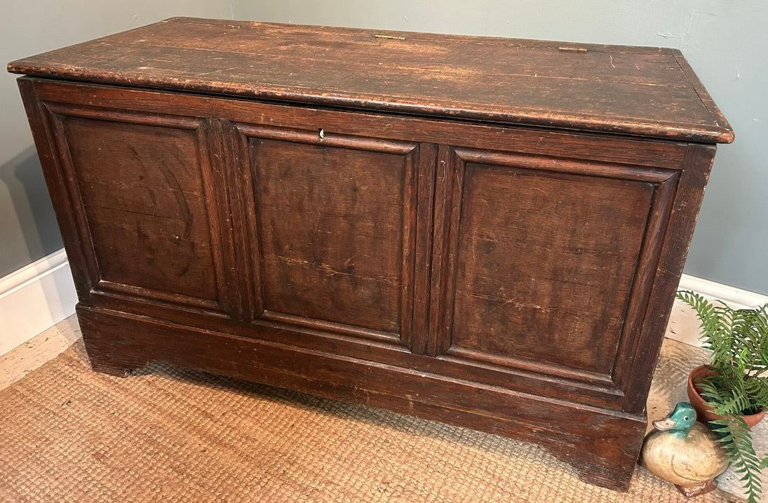 19th Century Antique Oak Coffer