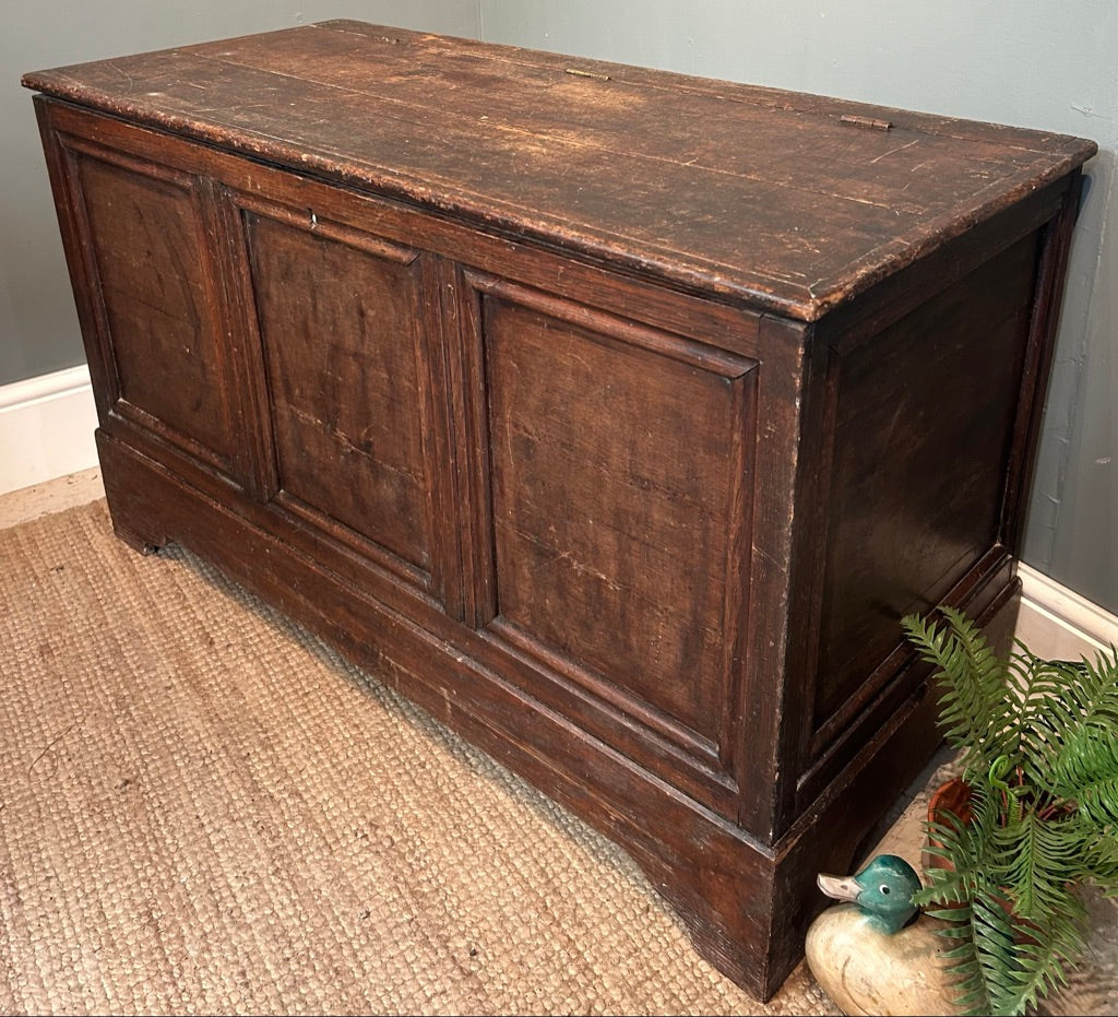 19th Century Antique Oak Coffer