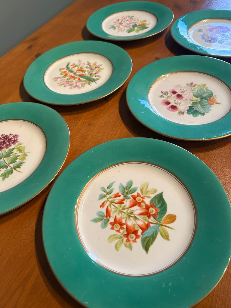 Set of 6 Vintage Botanical Plates