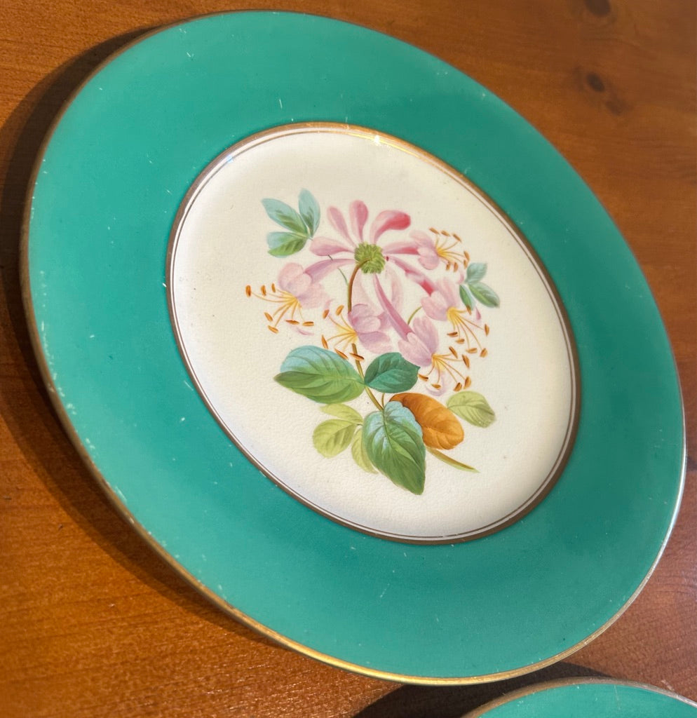 Set of 6 Vintage Botanical Plates