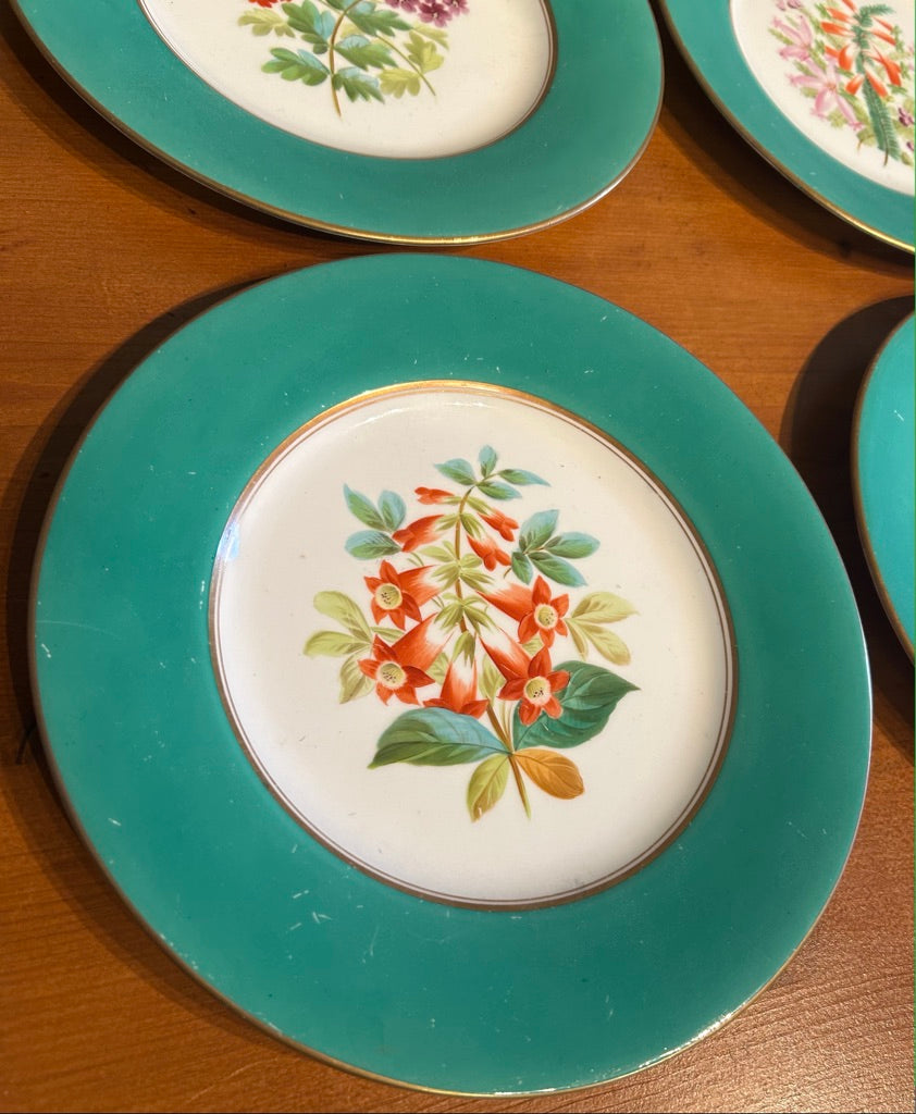 Set of 6 Vintage Botanical Plates