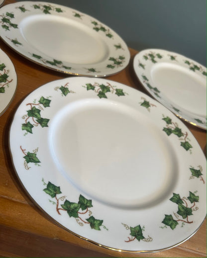 Set of 6 Vintage Ivy design Colclough Dinner Plates