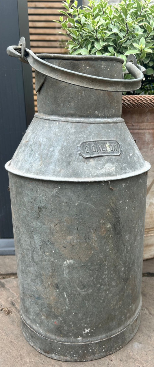 Galvanised Vintage 2 Gallon Small Milk Churn