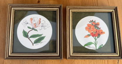 Small Pair of Framed Botanical Original Water Colour Paintings