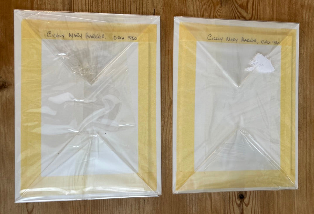 Pair of Fairy Mounted Prints