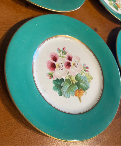 Set of 6 Vintage Botanical Plates