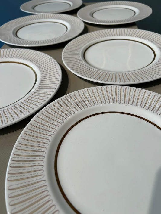 Set of 6 Royal Albert Capri Dinner Plates