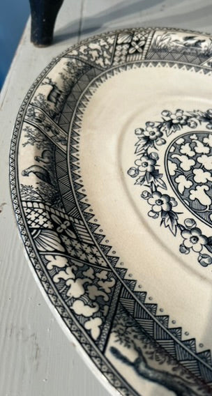 Vintage Oval Plate - Wedgewood Melton