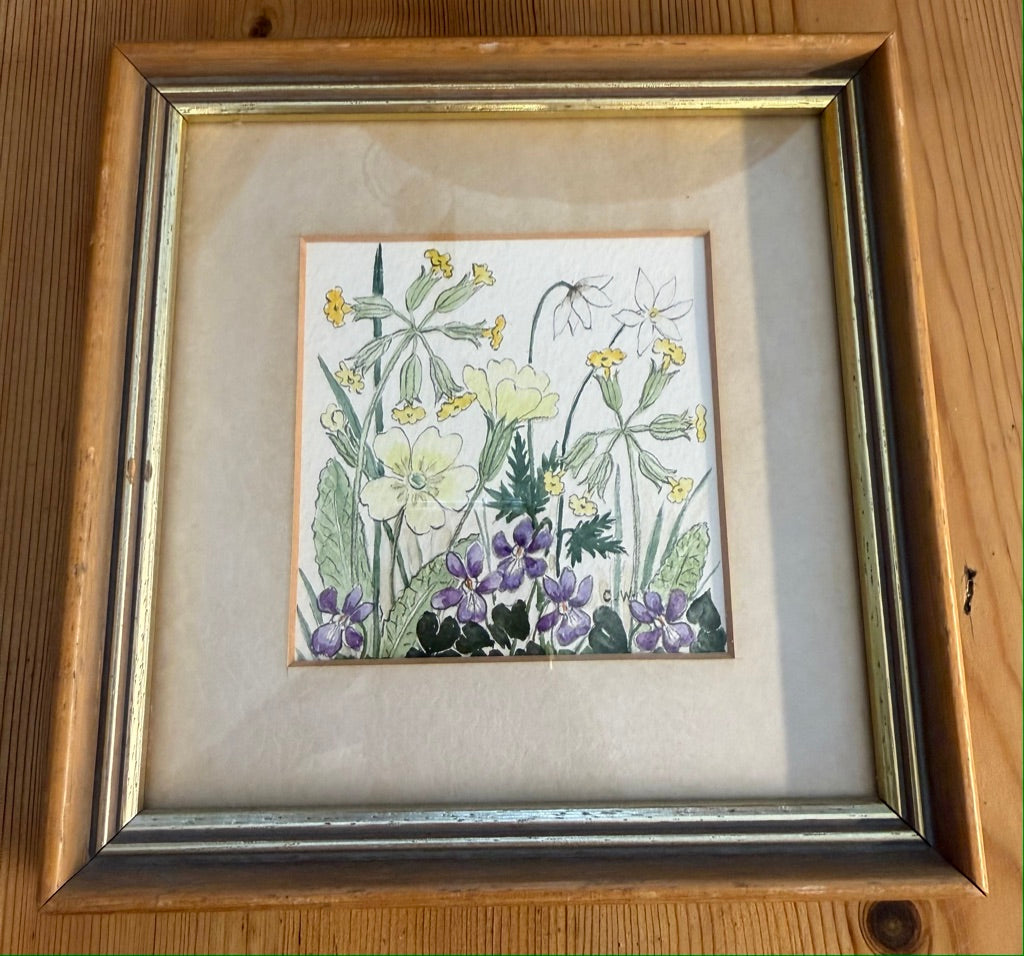 Vintage Framed Botanical Original Water Colour Painting By Carol Worth
