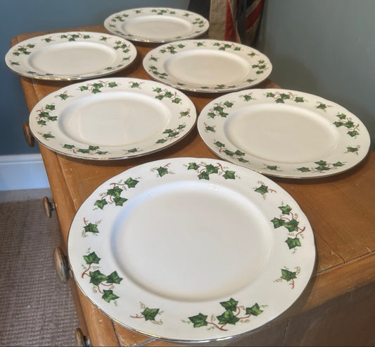 Set of 6 Vintage Ivy design Colclough Dinner Plates