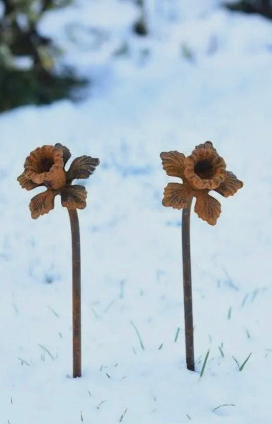 Raw Steel Daffodil Garden Decor - Handmade