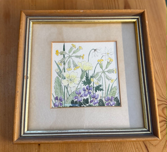 Vintage Framed Botanical Original Water Colour Painting By Carol Worth