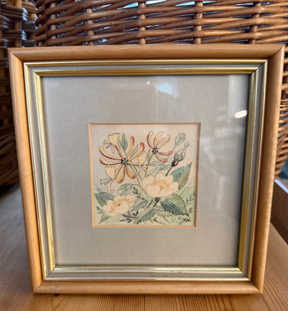 Vintage Framed Botanical Original Water Colour Painting By Carol Worth