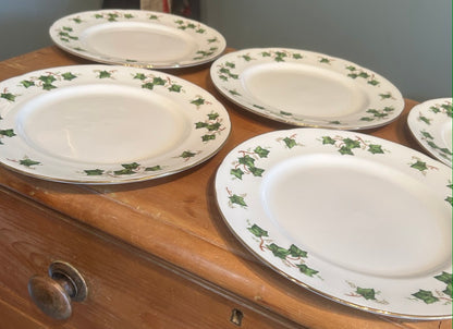 Set of 6 Vintage Ivy design Colclough Dinner Plates