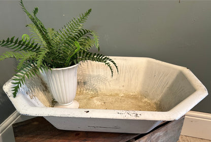 Oversized Vintage White Enamel Bath Tub - Planter / display