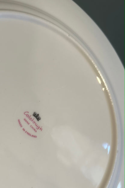 Set of 6 Vintage Ivy design Colclough Dinner Plates