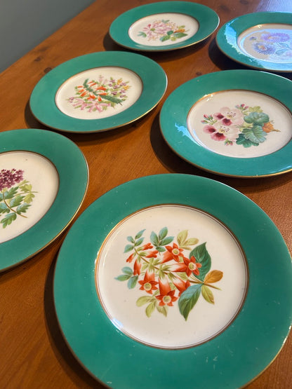 Set of 6 Vintage Botanical Plates