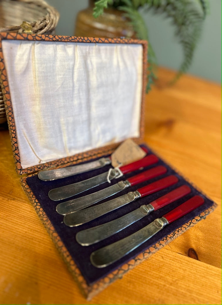 Vintage Butter Knife Set - Boxed