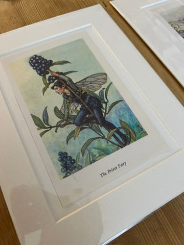 Pair of Fairy Mounted Prints