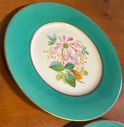 Set of 6 Vintage Botanical Plates