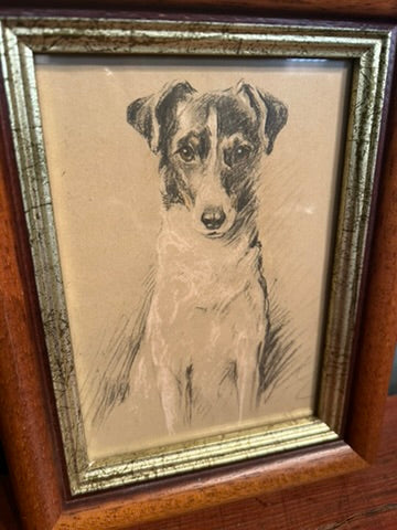 Vintage Framed Jack Russell Print