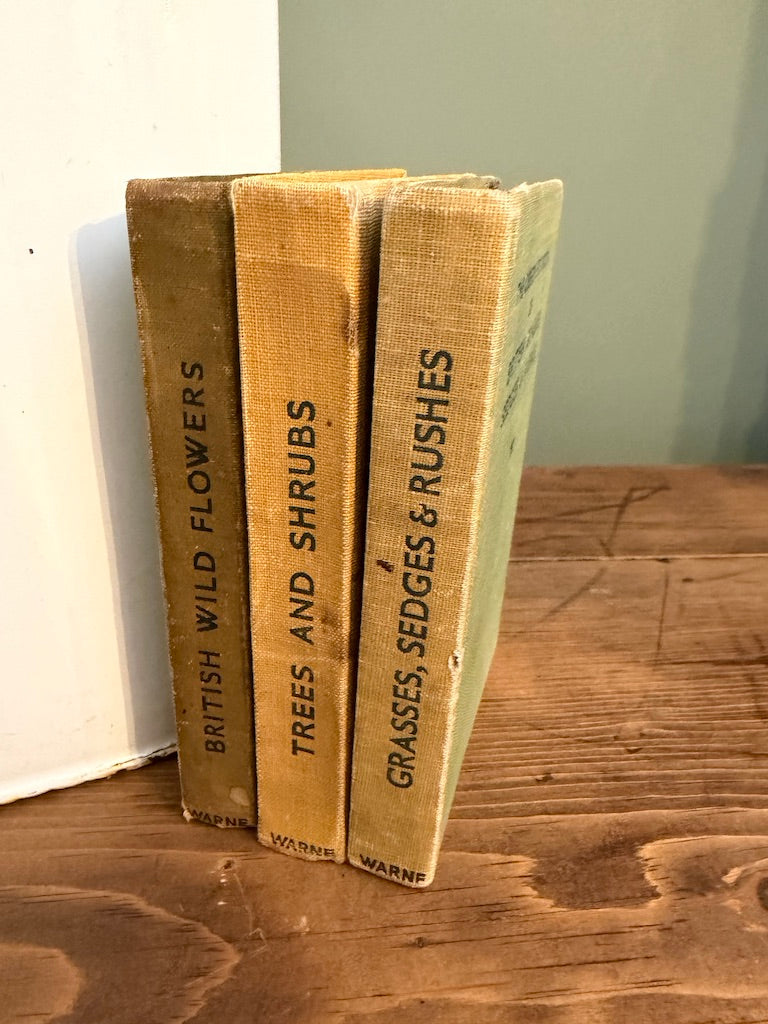 Job lot Set of 3 Vintage Observer Book Bundle