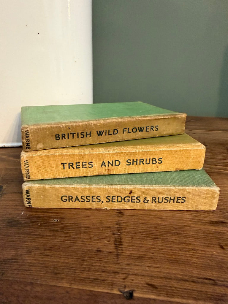 Job lot Set of 3 Vintage Observer Book Bundle
