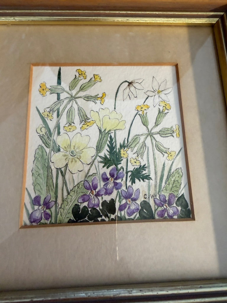 Vintage Framed Botanical Original Water Colour Painting By Carol Worth