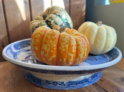 Vintage Blue and White Cake Plate