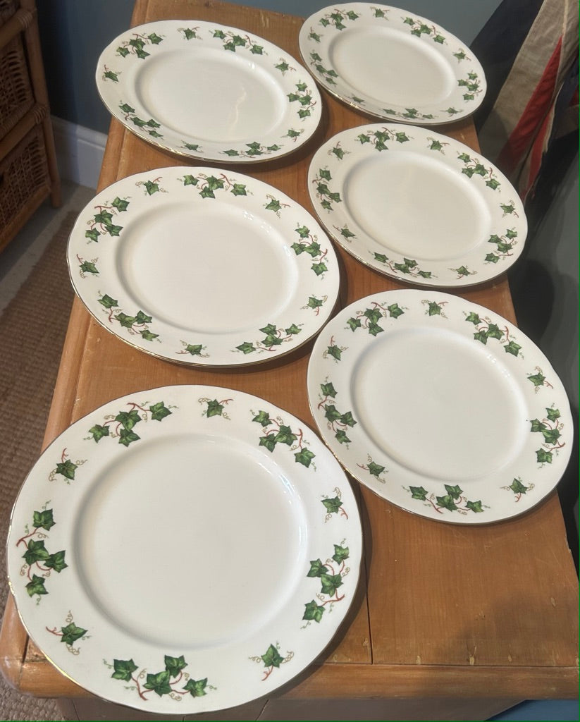 Set of 6 Vintage Ivy design Colclough Dinner Plates