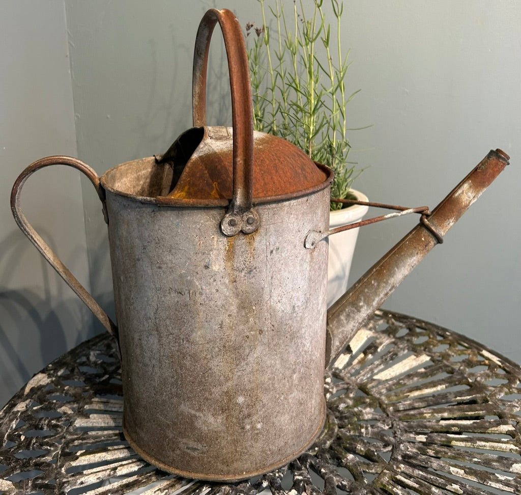 Vintage Rusty Galvanised Watering Can