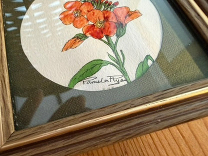 Small Pair of Framed Botanical Original Water Colour Paintings