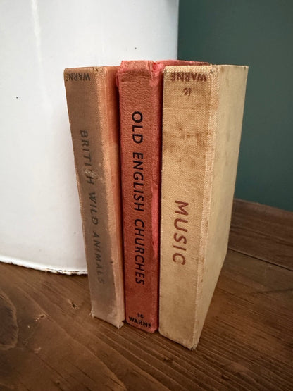 Job lot Set of 3 Vintage Observer Book Bundle