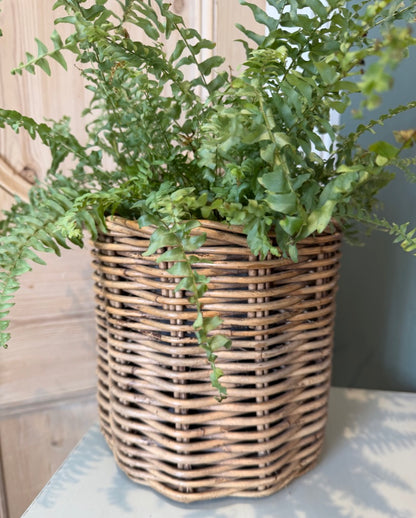 Vintage Wicker Basket Planter