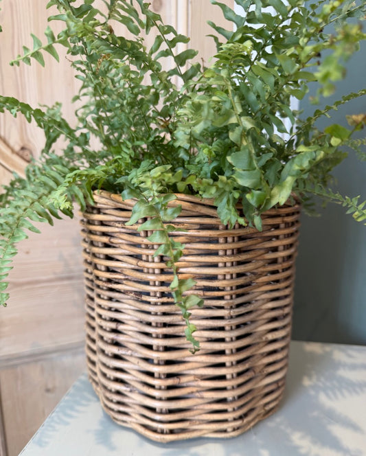 Vintage Wicker Basket Planter