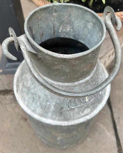Galvanised Vintage 2 Gallon Small Milk Churn