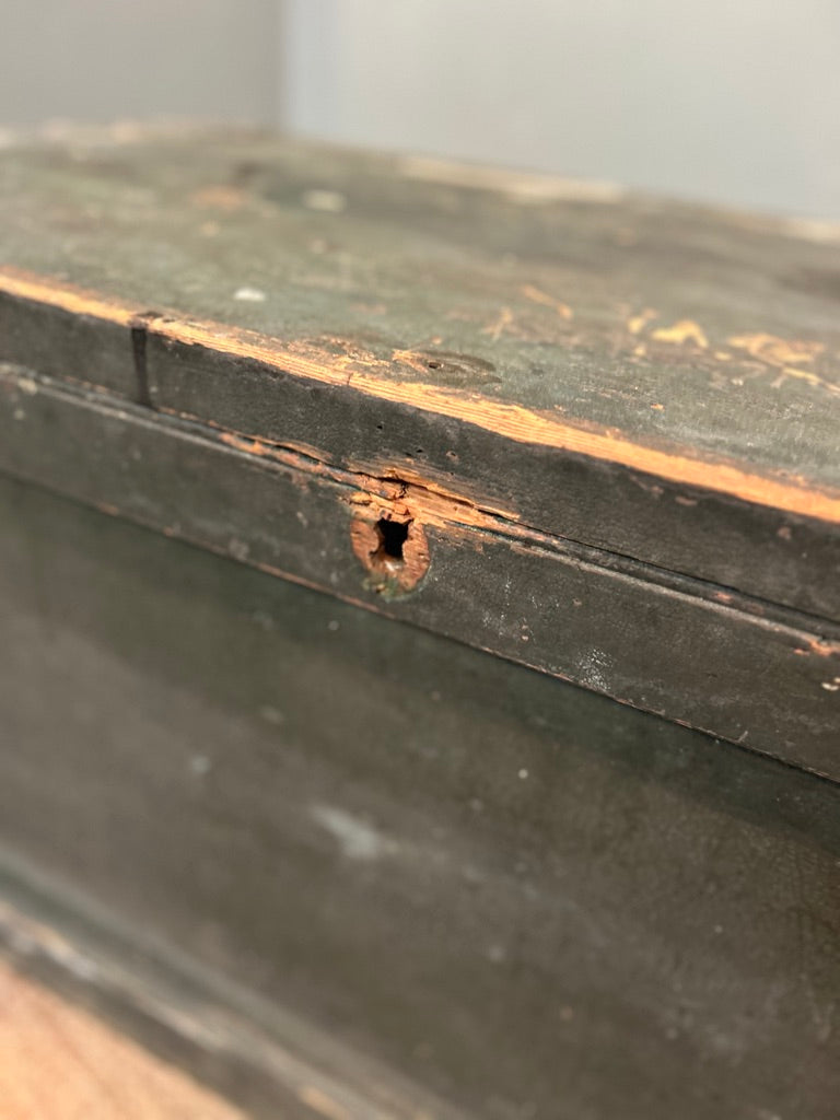 Rustic Pine Trunk