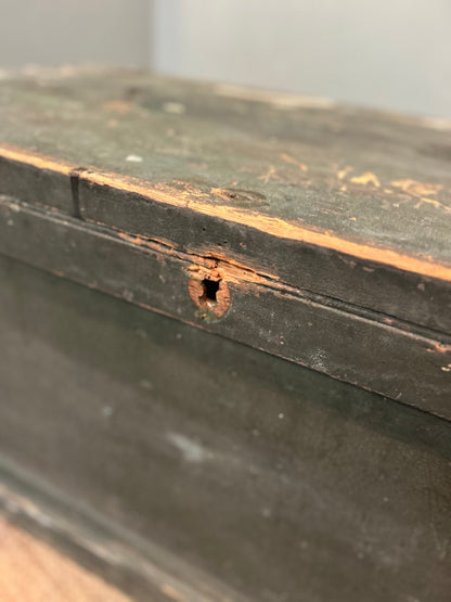 Rustic Pine Trunk