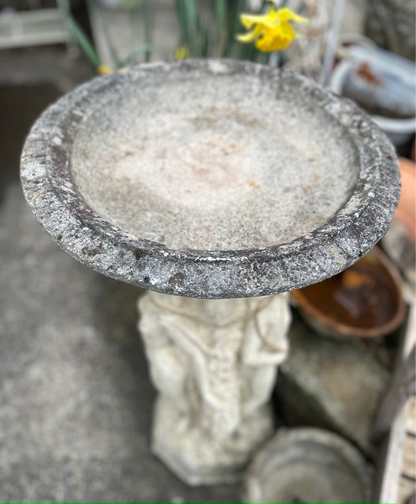 Weathered Bird Bath
