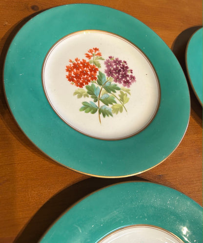 Set of 6 Vintage Botanical Plates