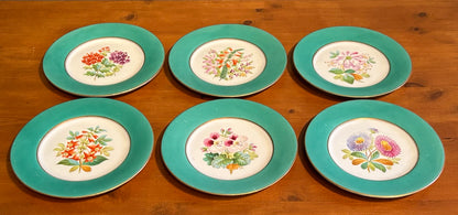 Set of 6 Vintage Botanical Plates