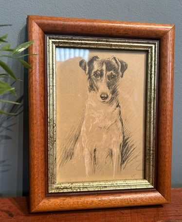 Vintage Framed Jack Russell Print