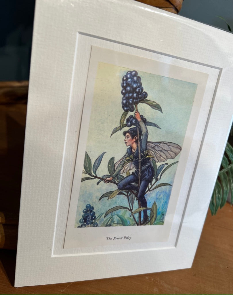 Fairy Mounted Print