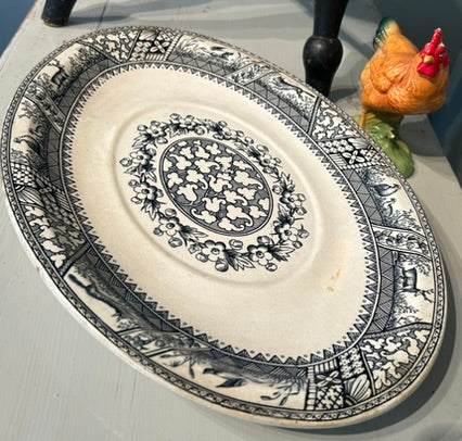 Vintage Oval Plate - Wedgewood Melton