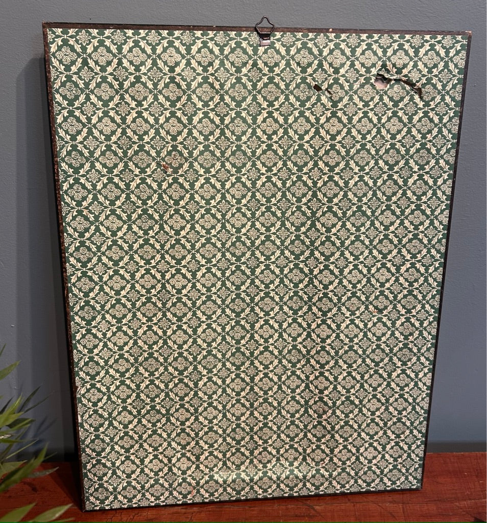 Vintage Zoological Italian Print - Framed