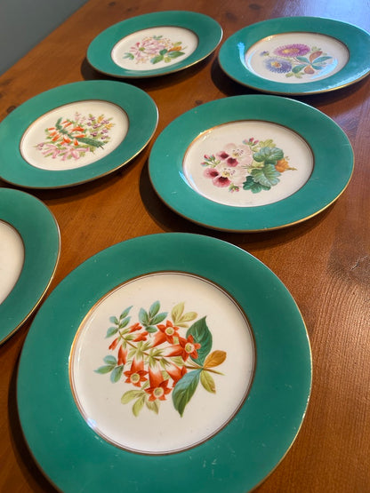 Set of 6 Vintage Botanical Plates