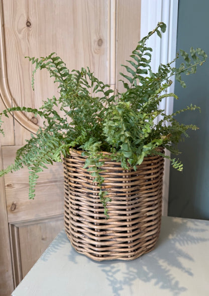 Vintage Wicker Basket Planter