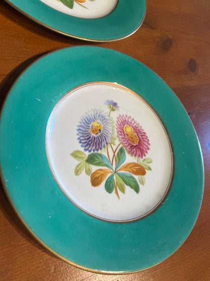 Set of 6 Vintage Botanical Plates