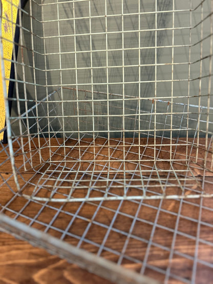 Pair of 1950's Vintage Wire Basket Trays
